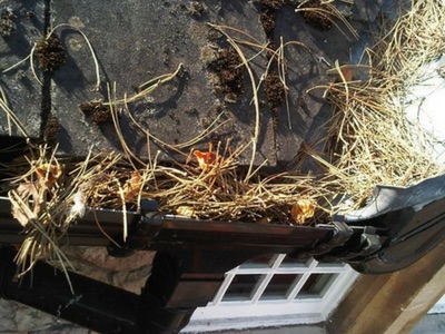 Gutter Cleaning in Cardiff, Swansea