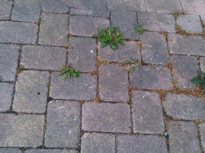 Driveway Cleaning in Cardiff