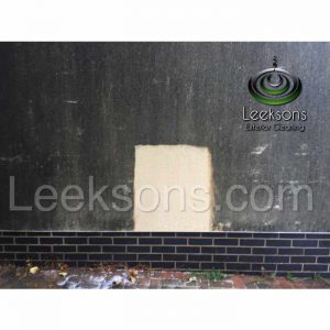 render cleaning prices
