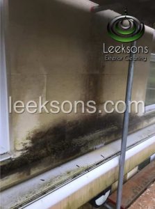 stone cleaning