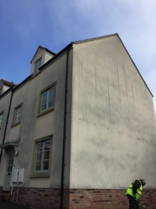 weber render cleaning