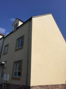 weber render cleaning