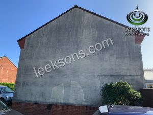 render cleaning