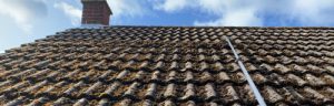 roof cleaning in Newport