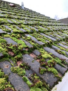 remove moss from a roof