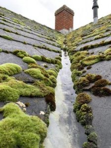 remove moss from a roof, roof cleaning