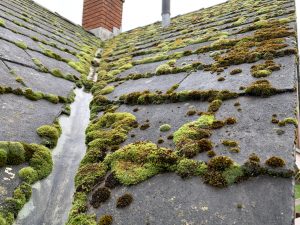 How much does roof cleaning cost in 2020