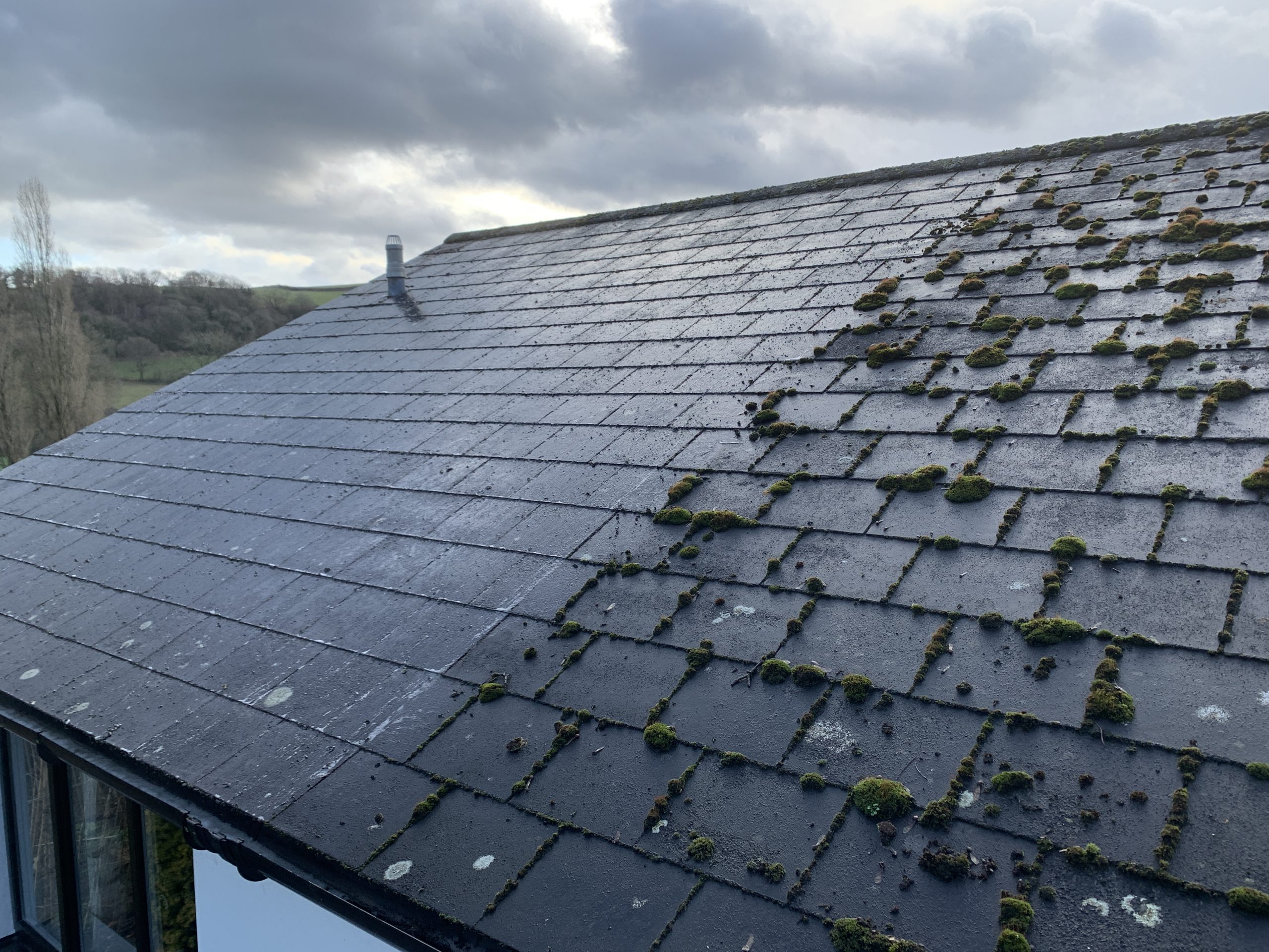 How much does roof cleaning cost in 2020