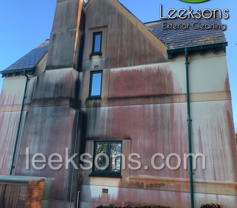 Portishead render cleaning