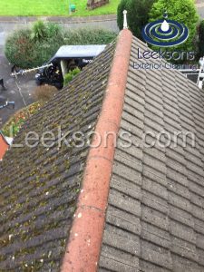 roof cleaning