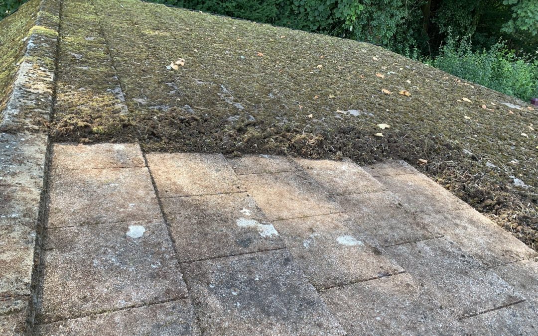 How to you remove moss from roofs?