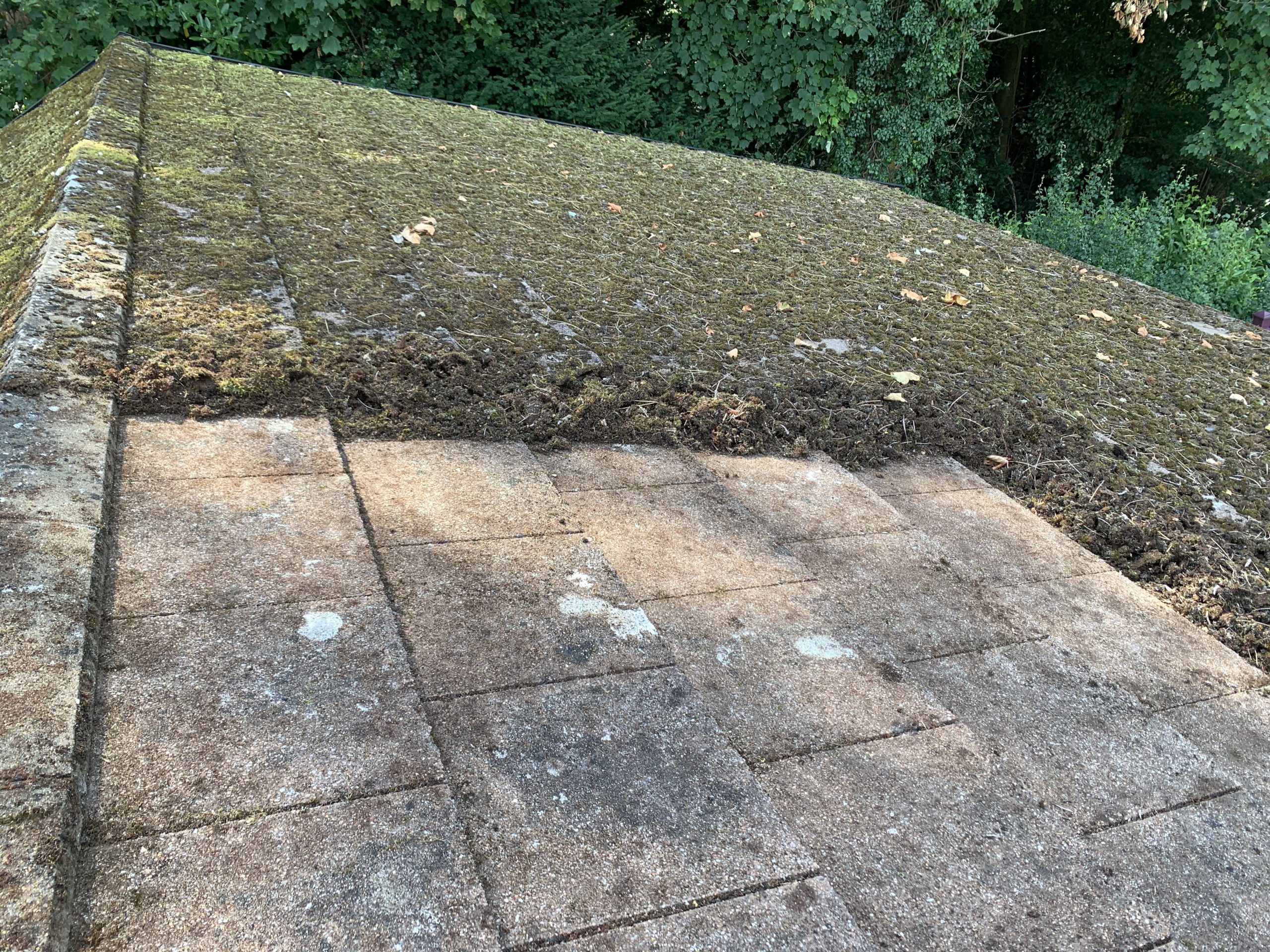 How to you remove moss from roofs?