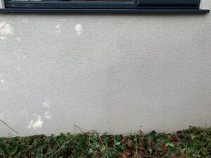 ivy removal