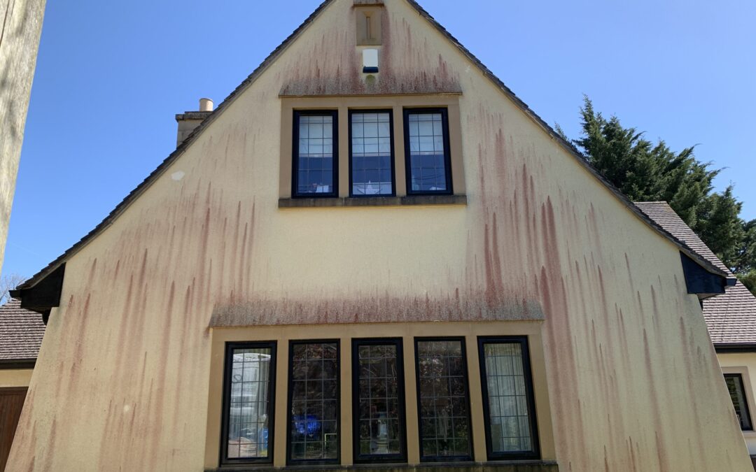 Does your house look like it’s bleeding?