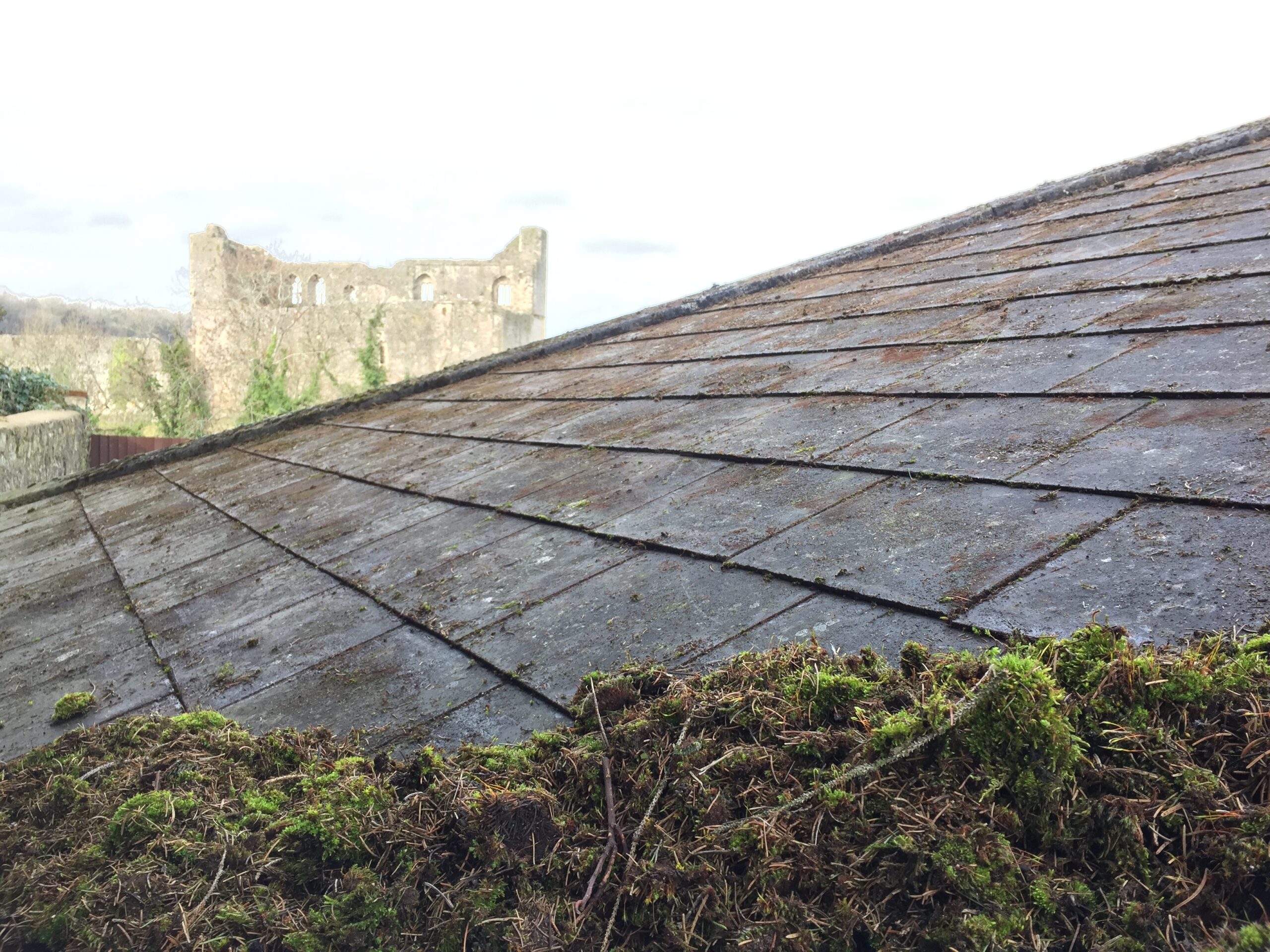 roof cleaning