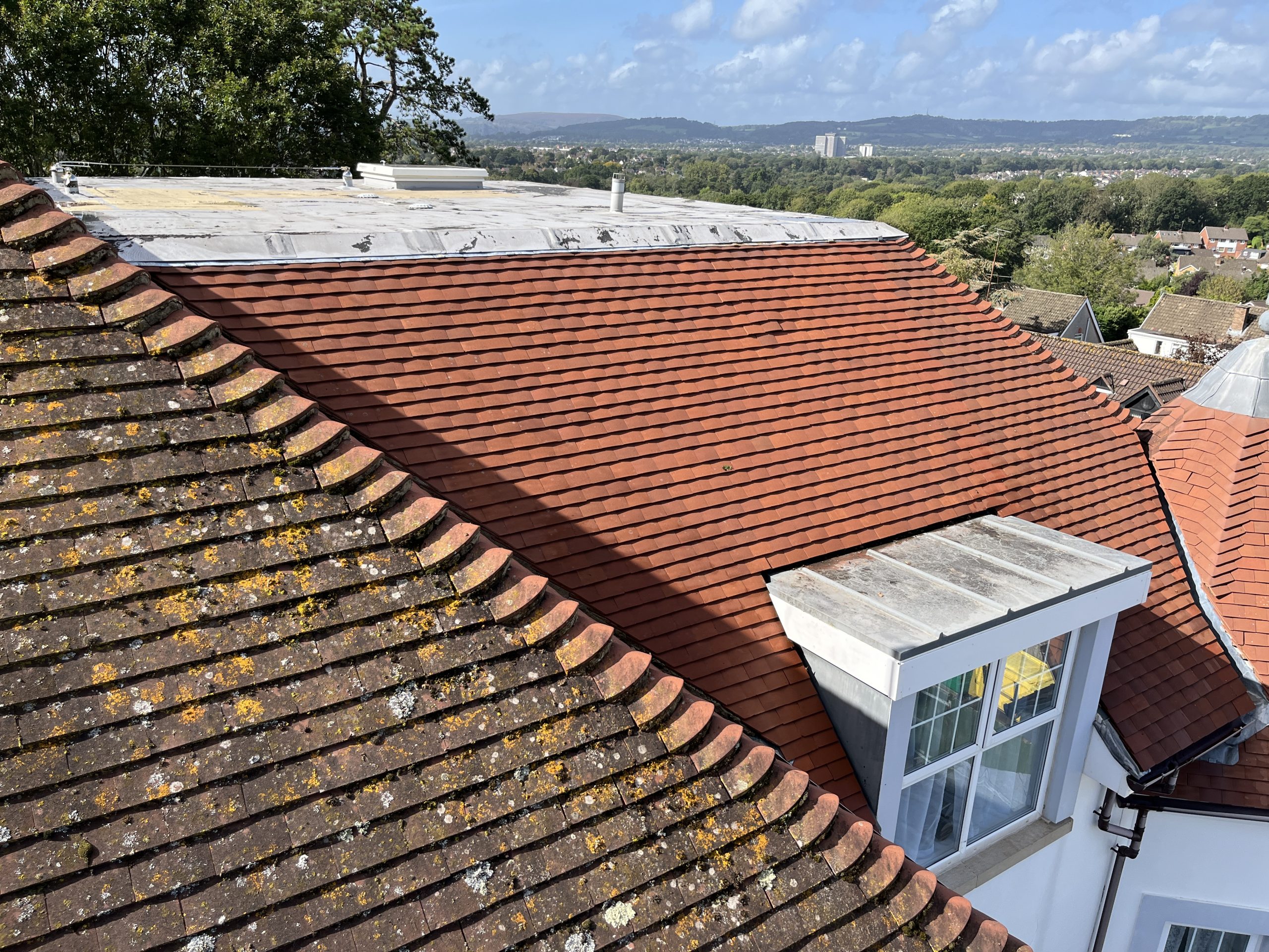 roof cleaning