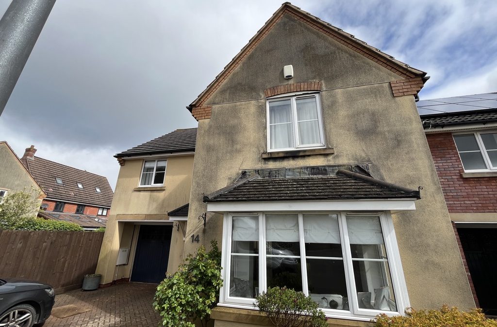 Is Softwashing the best choice for Render Cleaning?