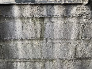 brick cleaning
