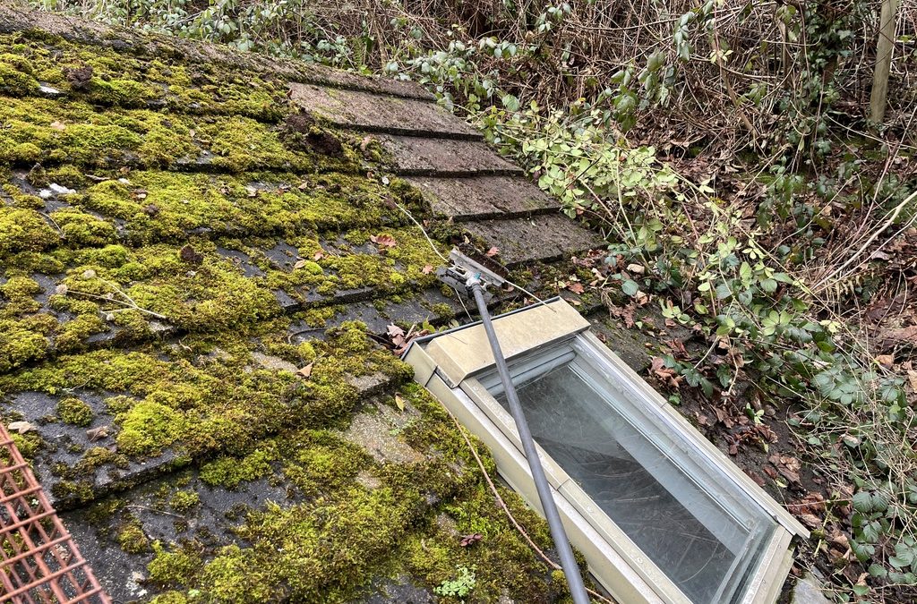 Low Pressure Roof Cleaning in Chepstow