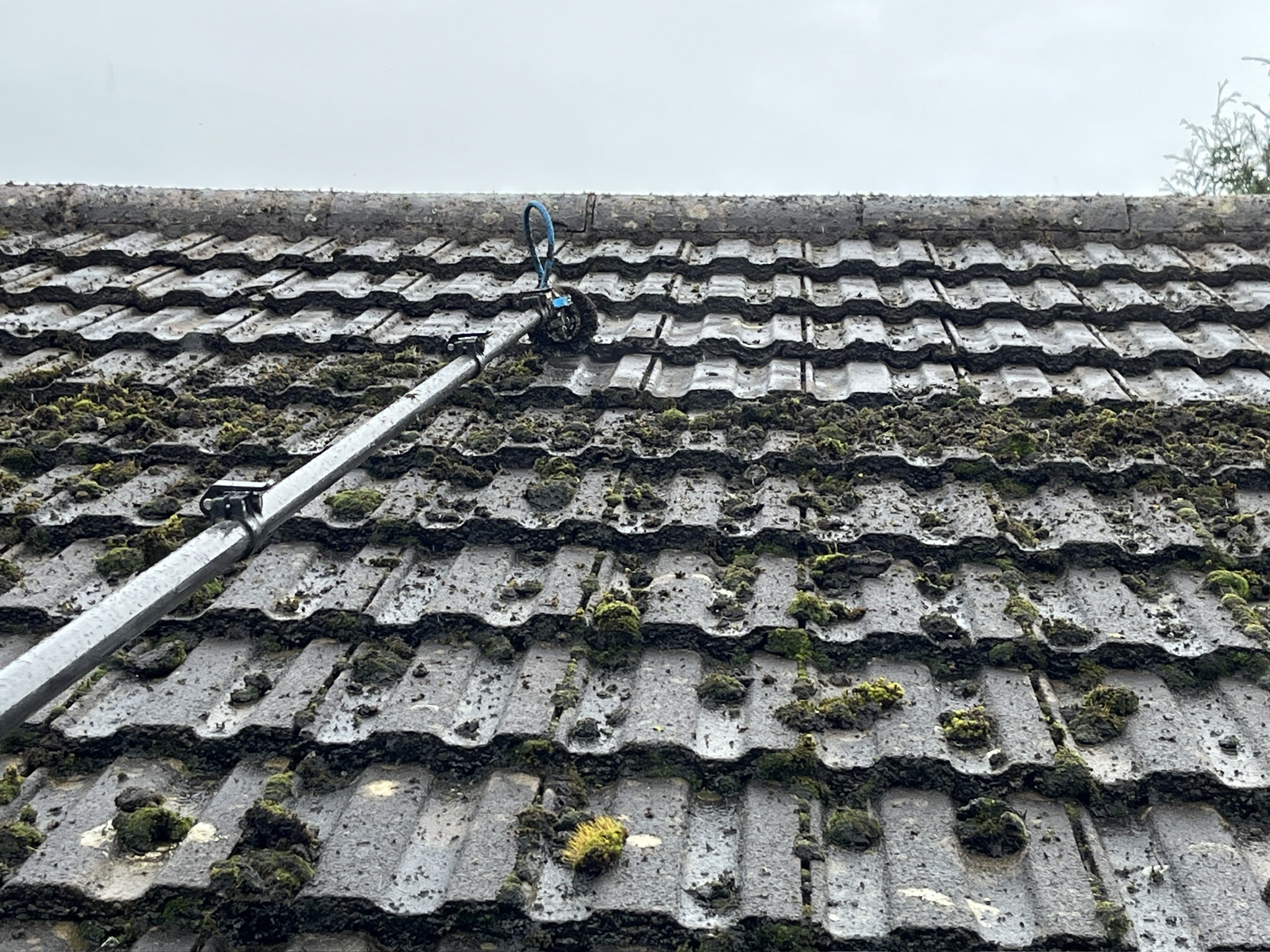 marshall air roof cleaning